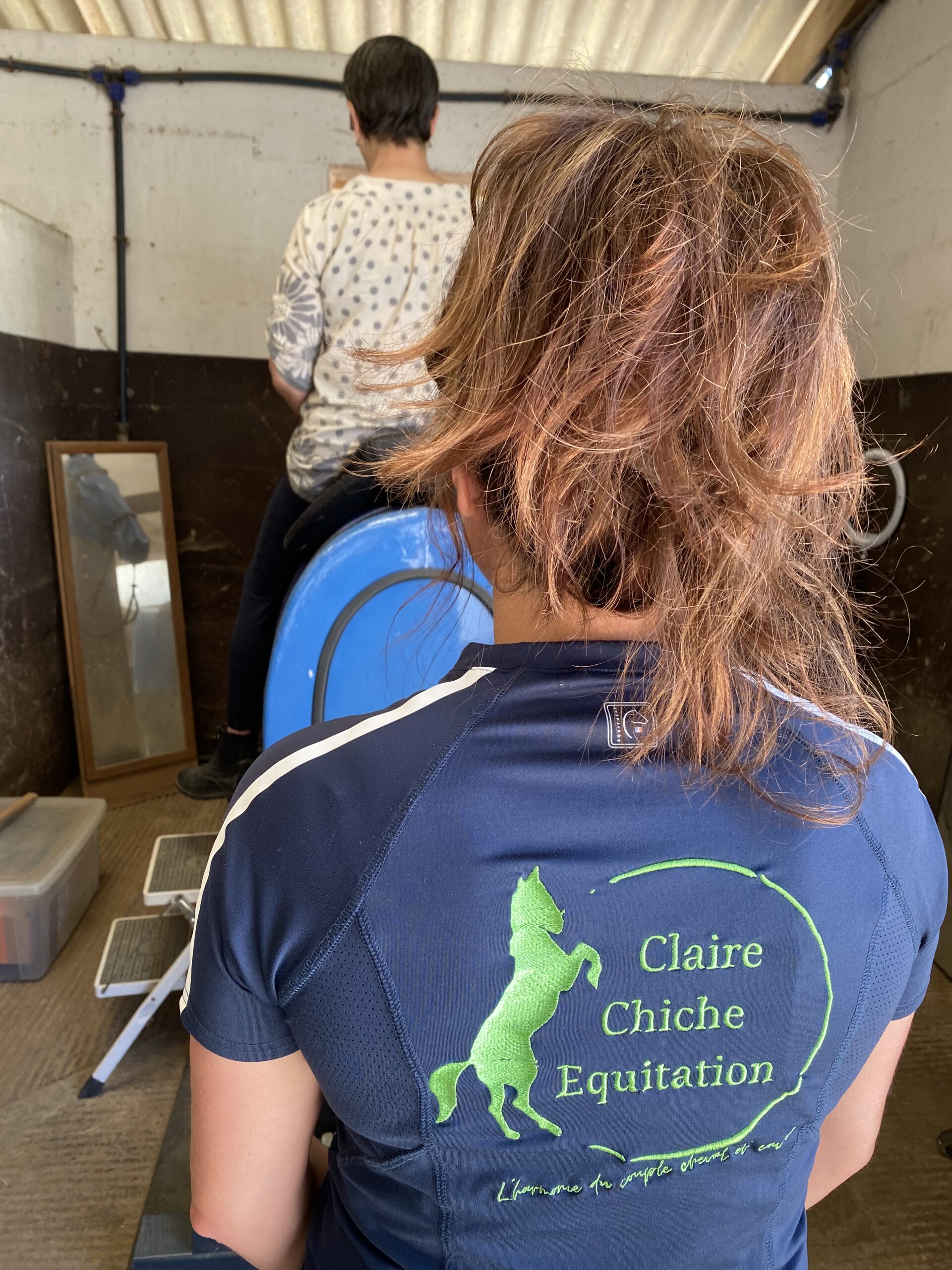 Les cours d'équitation peuvent inclure une séance sur cheval mécanique.