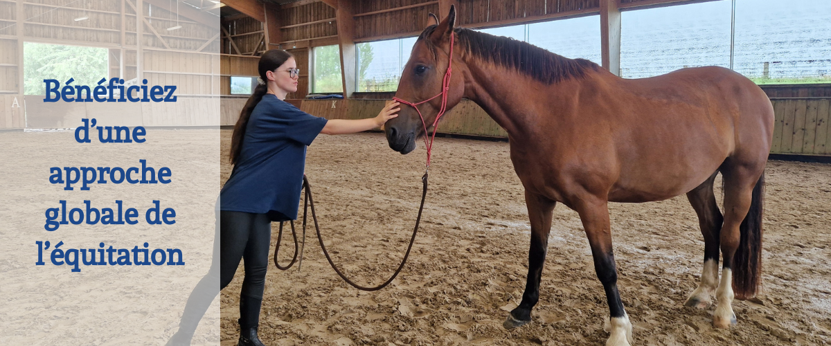 Une approche globale de l'équitation
