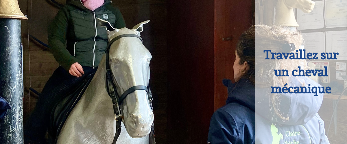 Travail sur cheval mécanique (simulateur équestre).