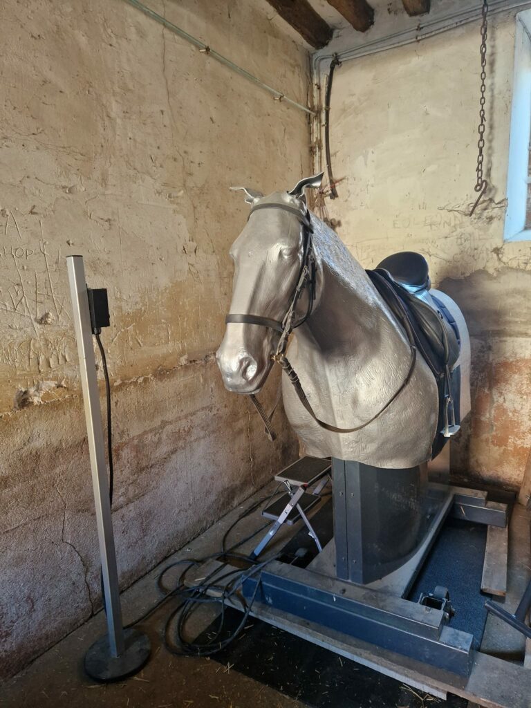 Cheval mécanique, à louer dans des écuries.
