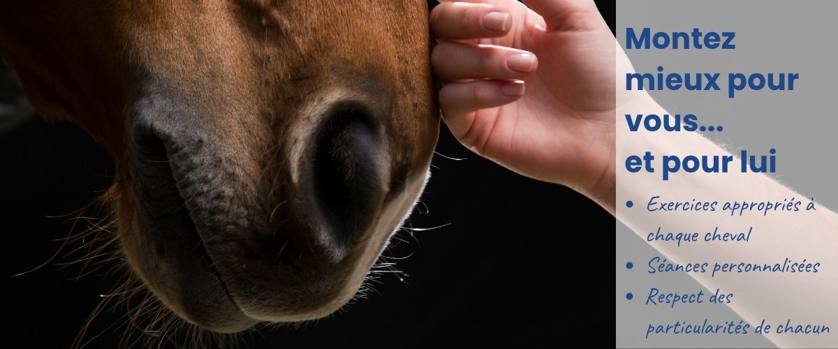 Mieux monter pour son cheval : séances personnalisées et adaptées à chaque cheval