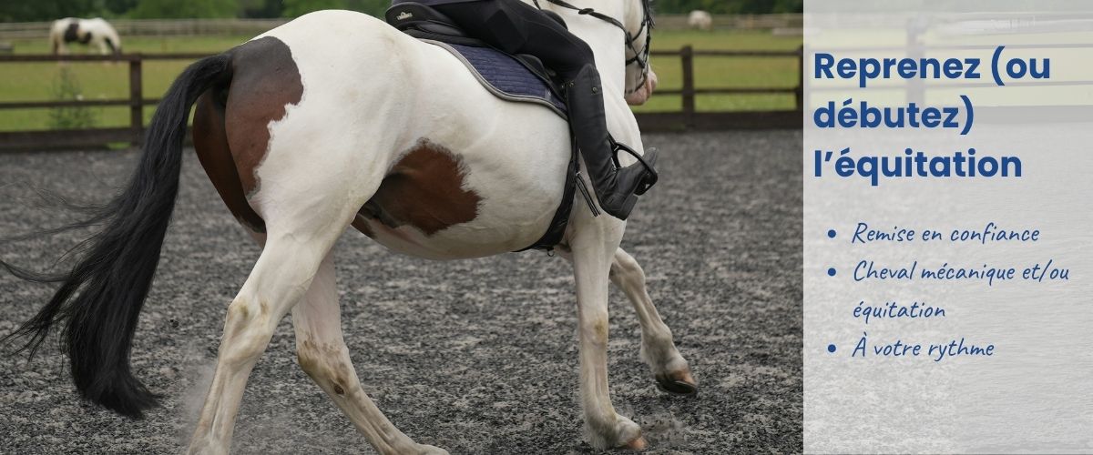 Débuter ou reprendre l'équitation en confiance, à son rythme